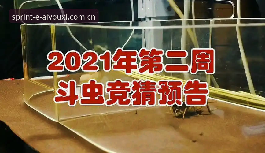 爱游戏体育竞猜教程深度评测：从下载到实战的完整操作指南